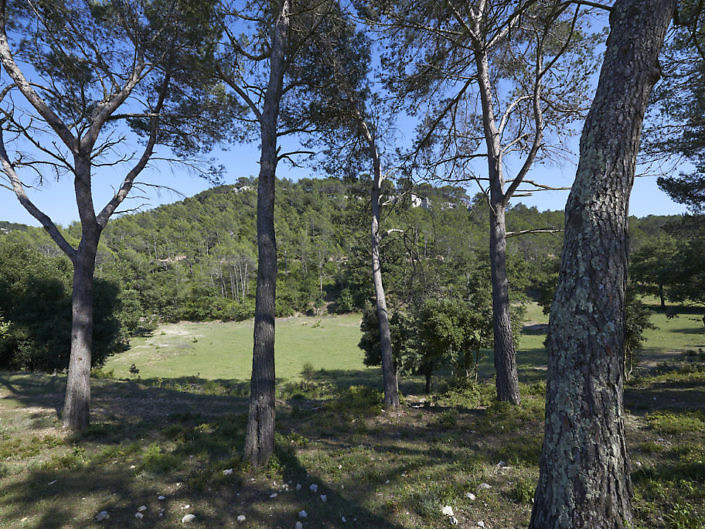 Espaces autour de la Bastide